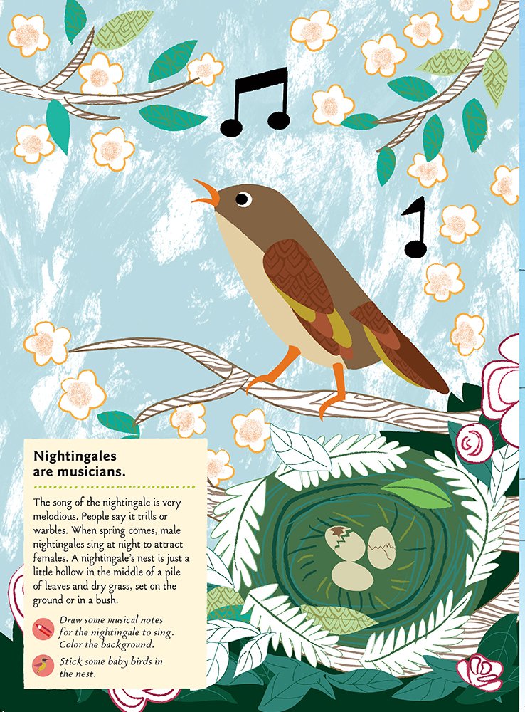 My Nature Sticker Activity Book - Birds of the World