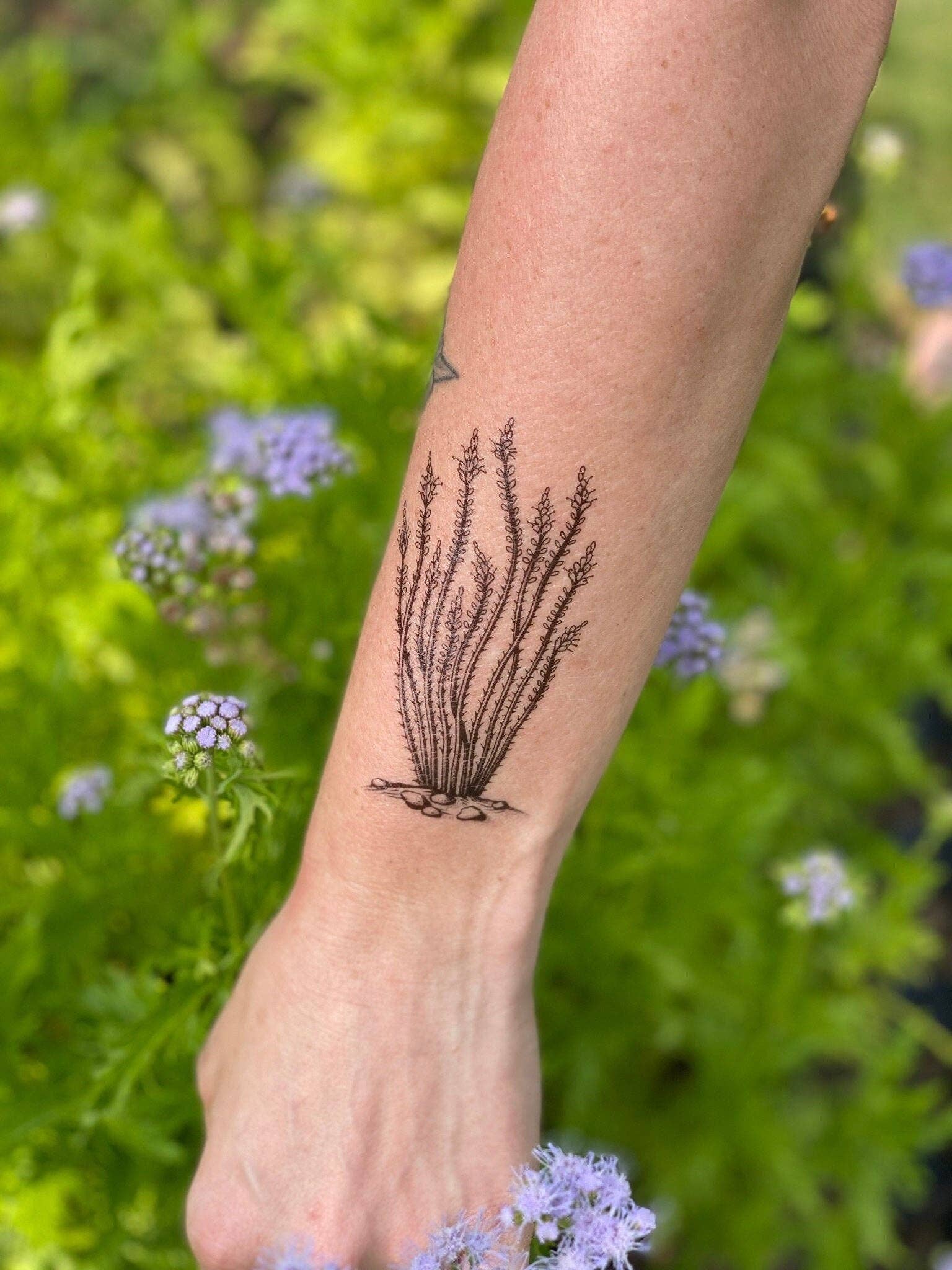 Ocotillo Temporary Tattoo