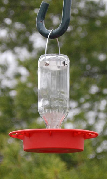 Best 1 Boxed Hummingbird feeder