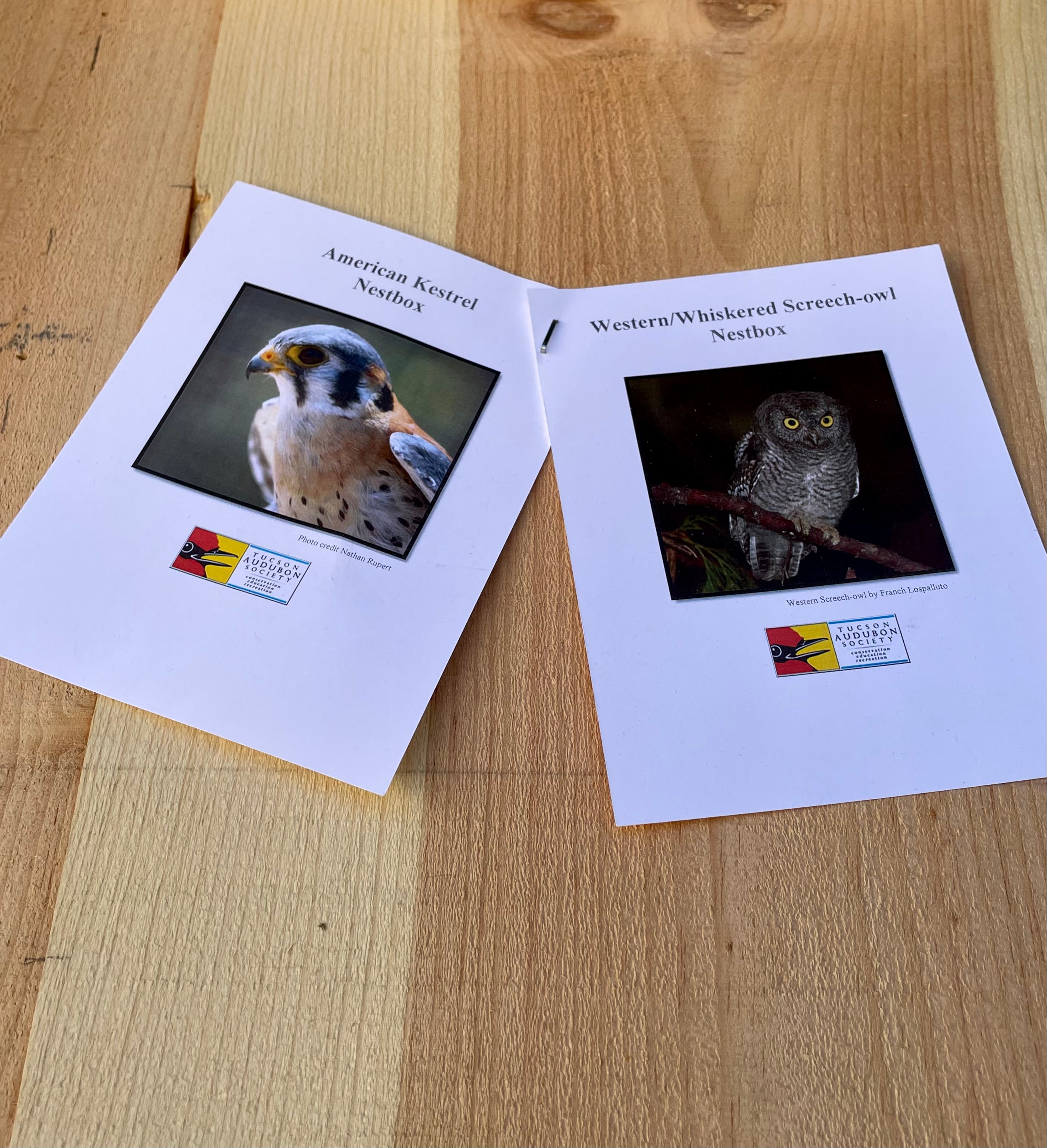 Screech Owl/Kestrel Nestbox
