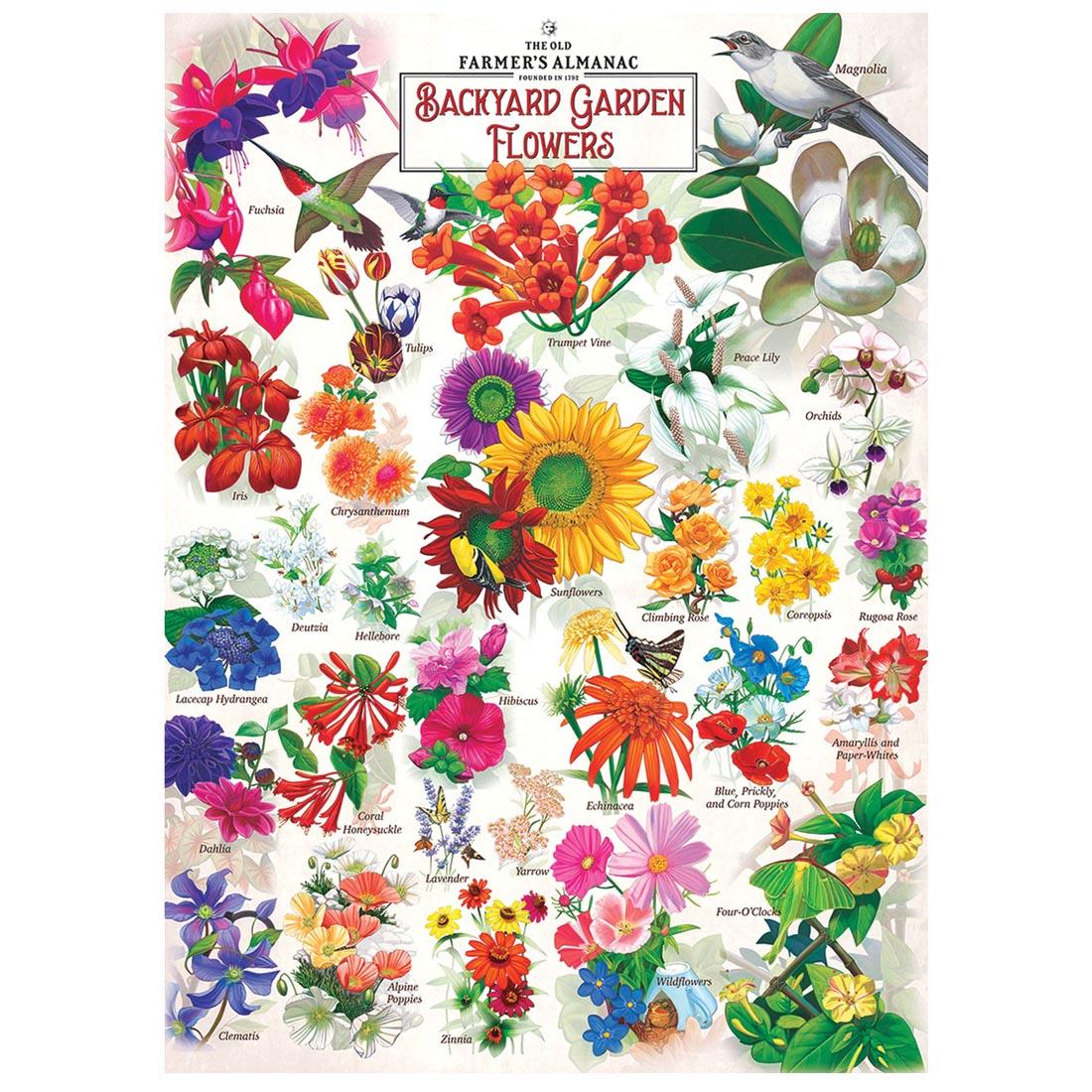 Farmer's Almanac: Backyard Garden Flowers 1000pc Puzzle