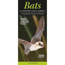 Bats of Western North America