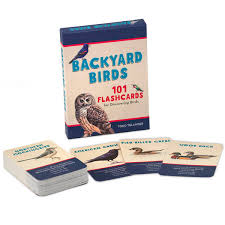 Backyard Birds 101 Flashcards for Discovering Birds