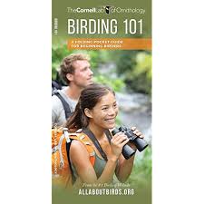 Birding 101 Foldout Pocket Guide for Beginning Birders