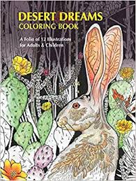 Desert Dreams Coloring Book