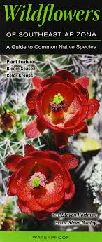 Wildflowers of Southeast Arizona Foldout Guide