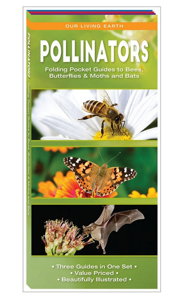 Our Living Earth Pollinators Folding Pocket Guides to Bees, Butterflies & Moths and Bats