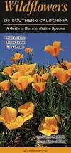 Wildflowers of Southern California - Foldout Guide