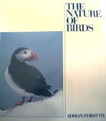 USED - The Nature of Birds by Adrian Forsyth