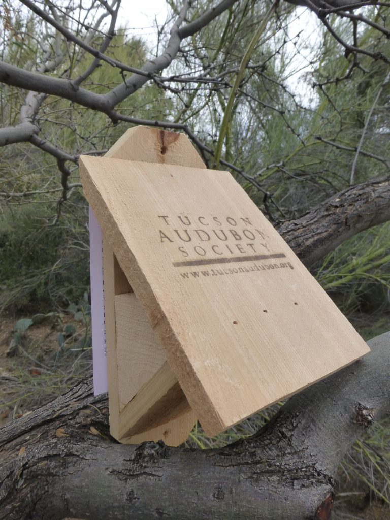 Lucy's Warbler Nestbox and Warbler Guide BUNDLE