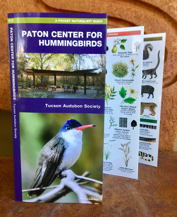 Paton Center for Hummingbirds: A Folding Pocket Naturalist Guide