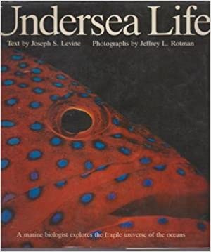 USED - Undersea Life, Levine