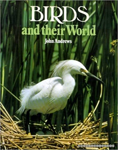 USED - Birds and Their World, Andrews